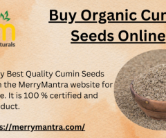 Buy Organic Cumin Seeds Online