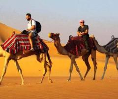 Rajasthan Tour Packages- ExploreThe Best Of The Regal Land