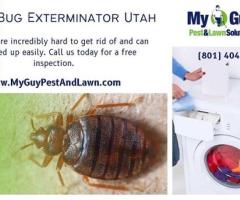 Eliminate Bed Bugs Fast! Expert Exterminator Services in Utah - My Guy Pest and Lawn