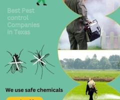 Best Pest Control companies in Texas