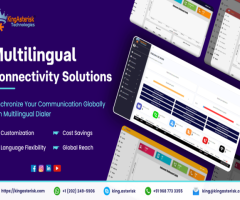 Multilingual Connectivity Solutions
