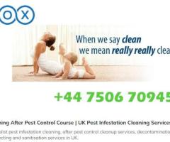 Sparkle Cleaning Services in UK