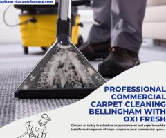 Professional Commercial Carpet Cleaning Bellingham with Oxi Fresh