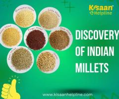 Discovery of Indian Millets - Nutritional Powers Unveiled