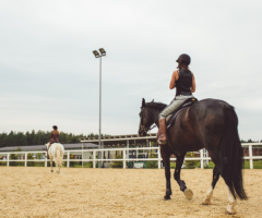 Rider Equestrian - Deep Connection Between Riders And Their Equine Partners