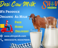 100% Pure Organic A2 Cow Milk & Desi Cow Ghee In Nagpur