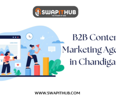 Unlocking Growth: Partnering with a B2B Content Marketing Agency in Chandigarh