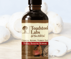Mushroom Syrup for Health and Vitality: Find Your Perfect Blend Here