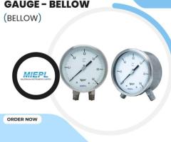 Differential Pressure Gauge - Bellow | India Pressure Gauge