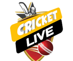 CRICSPORTZ: Elevating Cricket Experience with Live Line Features ChatGPT