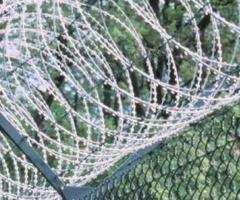 Concertina Wire - Best Prices Guaranteed!