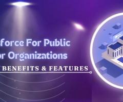 Optimize Constituent Engagement with Salesforce Public Sector Cloud