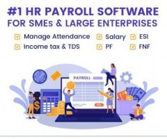 Cost – Effective HR and Payroll Software