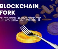 Get Our Blockchain Fork Development Services