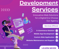 Professional Web Development Services In Nagafgarh