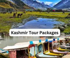 Explore Paradise: Kashmir Tour Packages