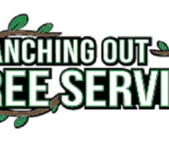 Tree Service Suffolk County Amityville