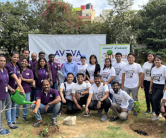 Growing Green: Aahwahan Foundation's Tree Plantation Initiative