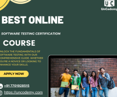 Software Testing: An Introductory Guide