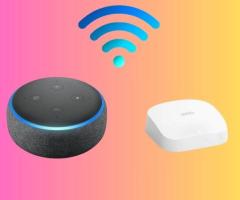 SetUp Your Echo Dot | Smart Solutionz