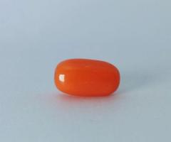 Red Coral (मूंगा) 7.23 Ct (8.03 Ratti)