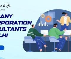 Protect Co Founders: Company Incorporation Consultants in Delhi
