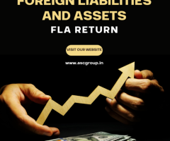 FLA Return - Applicability of Foreign Liabilities and Assets Annual Return