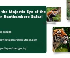 Discover the Majestic Eye of the Tiger on Ranthambore Safari