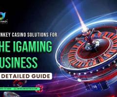 Turnkey Casino Software Solutions Provider With Br Softech