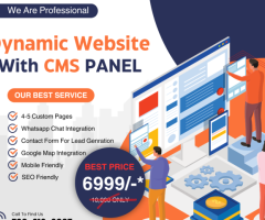 ELEVATE YOUR ONLINE PRESENCE WITH DYNAMIC WEBSITES AND SMART CMS NEW DELHI