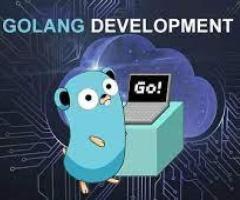 Elevating Excellence with Golang Development Services in Florida