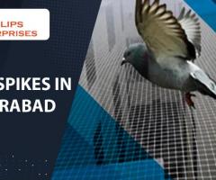 Bird Spikes in  Hyderabad