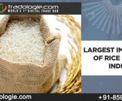 Largest Importer Of Rice From India