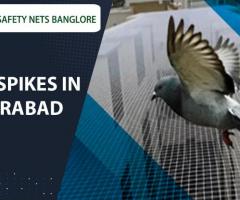 Bird Spikes in  Bangalore