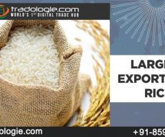 Largest Exporter Of Rice 2021