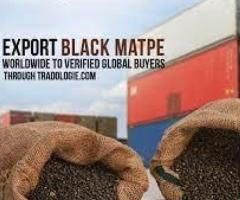 Black Matpe buyer in india
