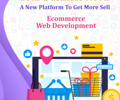 Ecommerce website designing Company in Noida/Delhi.