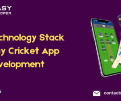 Best Technology  Stack  Fantasy Cricket App Development