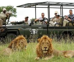 Atlanta to Sabi Sands Safari - Tailored Adventures with Love Africa Travel