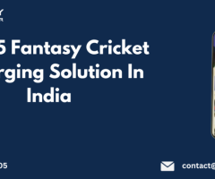 Best 5 Fantasy Cricket Emerging Solution In India