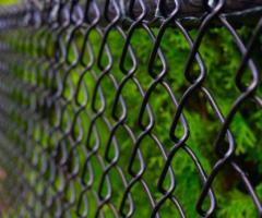 Premium Quality Wire Netting for Superior Security