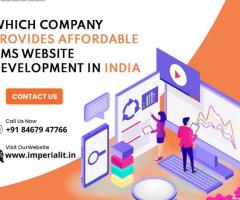 Which Company Provides Affordable CMS Website Development in India?