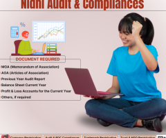 Nidhi Audit & Compliance | Document Required | CAPlus |