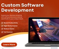 Custom Software Development Company in Delhi