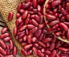 Red Kidney Beans Buyer - 1