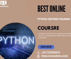 Mastering Python: From Basics to Advanced