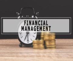 Finance Management System Botswana