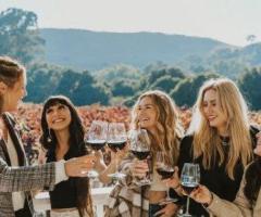The Most Competent Wine Tours in Adelaide From Nightcruiser