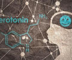 Unraveling the Role of Serotonin Receptors