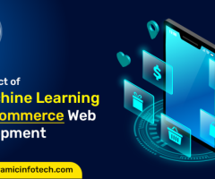 Web & eCommerce Development Services From Panoramic Infotech